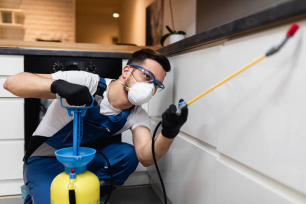 Trusted Herald Harbor, MD Pest Control Experts