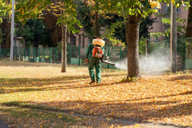Pest Prevention Services in Herald Harbor, MD