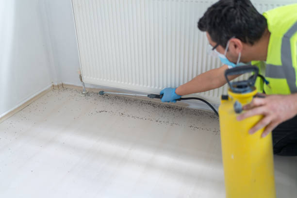 Best Cockroach Control Services  in Herald Harbor, MD